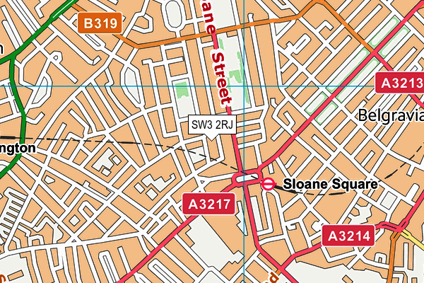 SW3 2RJ map - OS VectorMap District (Ordnance Survey)