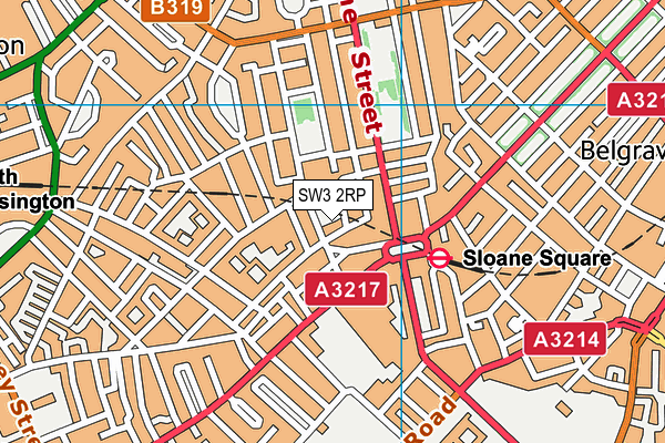 SW3 2RP map - OS VectorMap District (Ordnance Survey)