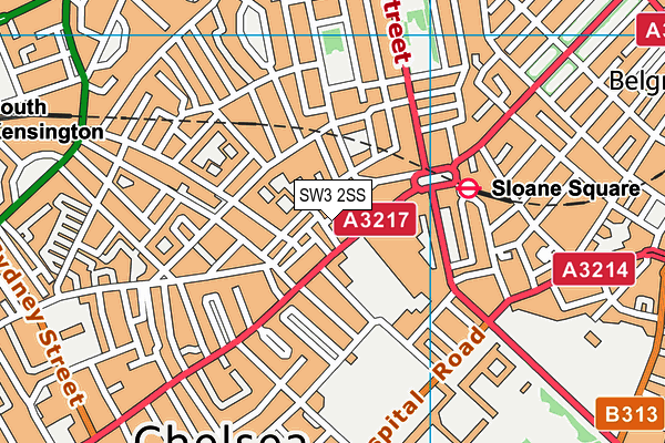 SW3 2SS map - OS VectorMap District (Ordnance Survey)