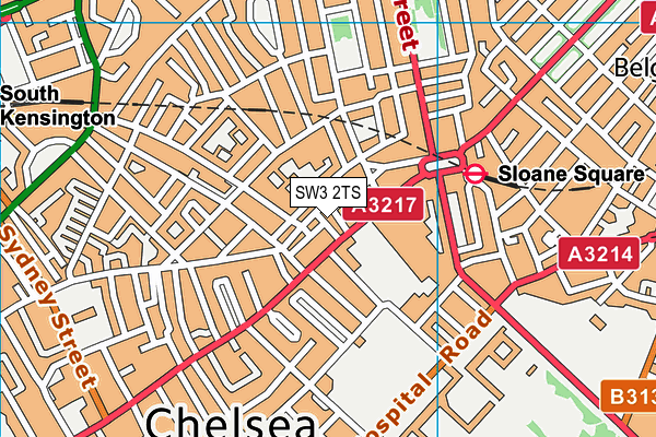 SW3 2TS map - OS VectorMap District (Ordnance Survey)