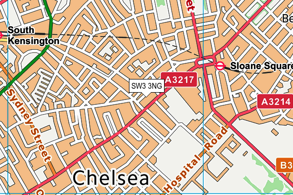 SW3 3NG map - OS VectorMap District (Ordnance Survey)