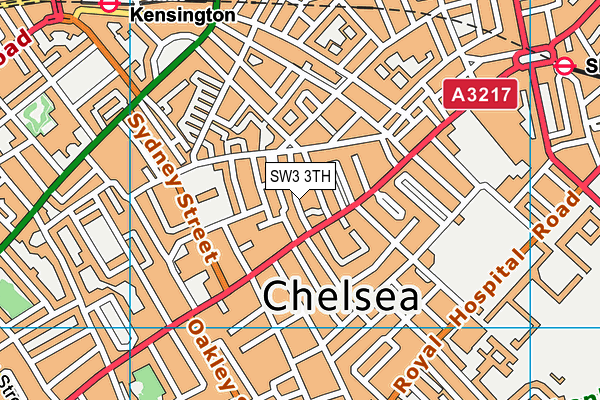 SW3 3TH map - OS VectorMap District (Ordnance Survey)