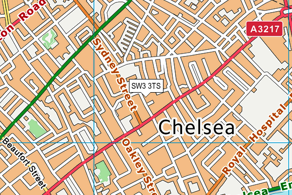 SW3 3TS map - OS VectorMap District (Ordnance Survey)