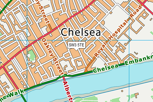 SW3 5TE map - OS VectorMap District (Ordnance Survey)