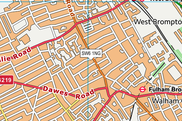 SW6 1NG map - OS VectorMap District (Ordnance Survey)