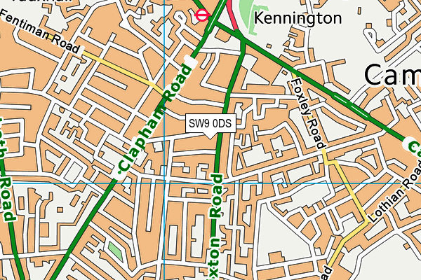 SW9 0DS map - OS VectorMap District (Ordnance Survey)