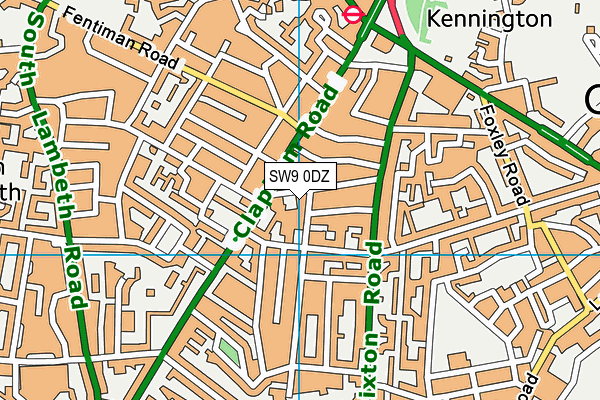 SW9 0DZ map - OS VectorMap District (Ordnance Survey)