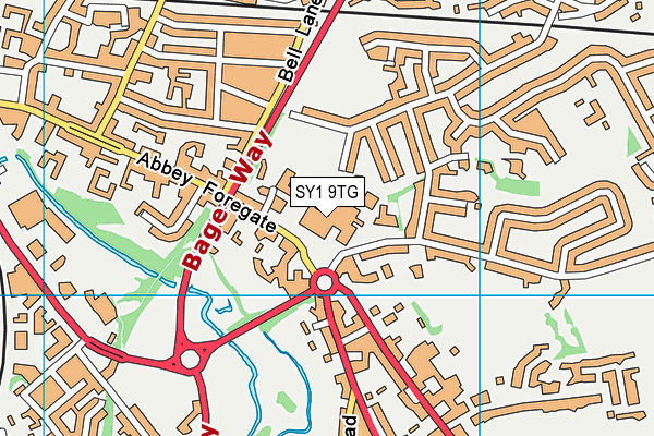 SY1 9TG map - OS VectorMap District (Ordnance Survey)