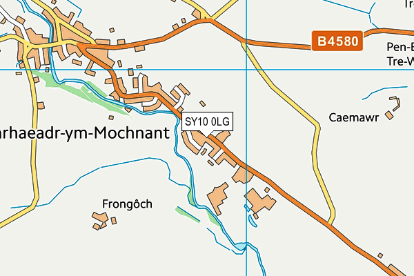 Llanrhaeadr Ym Mochnant C.P. School map (SY10 0LG) - OS VectorMap District (Ordnance Survey)