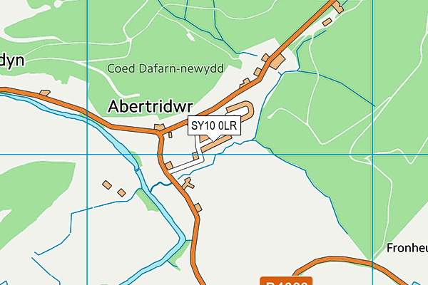 SY10 0LR map - OS VectorMap District (Ordnance Survey)