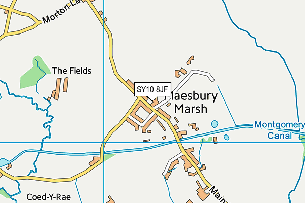 SY10 8JF map - OS VectorMap District (Ordnance Survey)