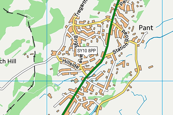 SY10 8PP map - OS VectorMap District (Ordnance Survey)