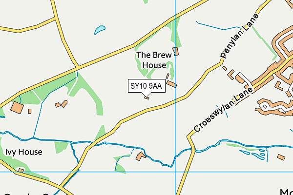 SY10 9AA map - OS VectorMap District (Ordnance Survey)