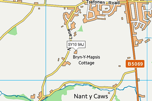 SY10 9AJ map - OS VectorMap District (Ordnance Survey)