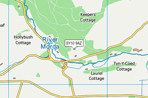 SY10 9AZ map - OS VectorMap District (Ordnance Survey)