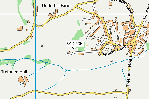 SY10 9DH map - OS VectorMap District (Ordnance Survey)