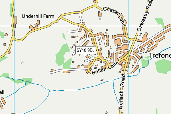 SY10 9DJ map - OS VectorMap District (Ordnance Survey)