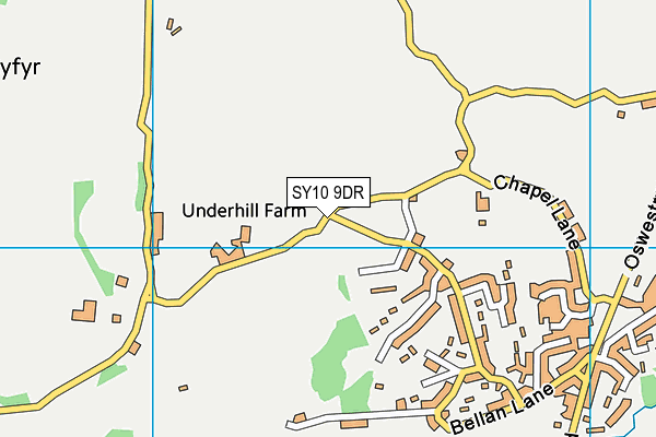 SY10 9DR map - OS VectorMap District (Ordnance Survey)