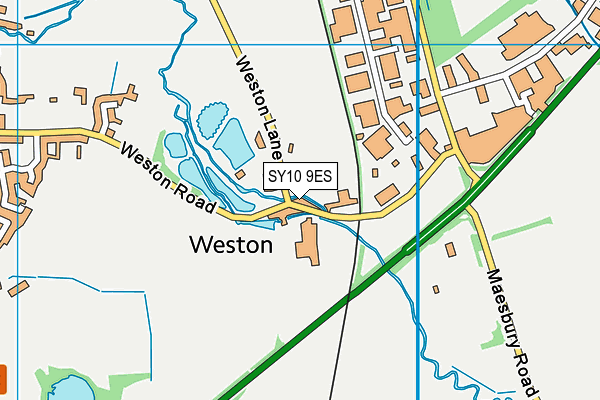 SY10 9ES map - OS VectorMap District (Ordnance Survey)