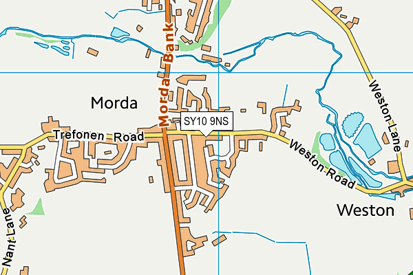 SY10 9NS map - OS VectorMap District (Ordnance Survey)