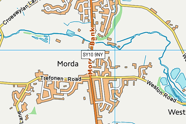 SY10 9NY map - OS VectorMap District (Ordnance Survey)
