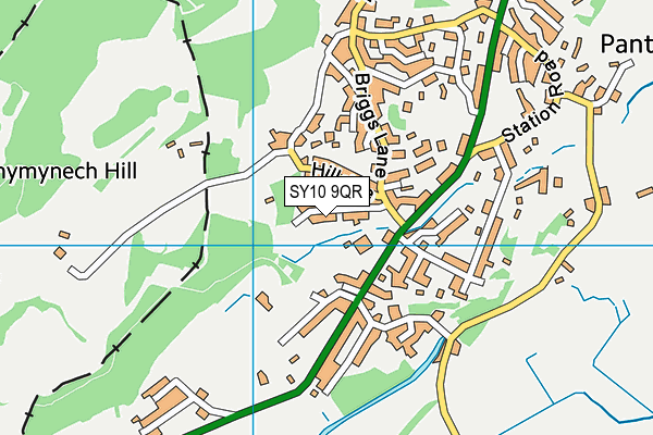 Bryn Offa CofE Primary School map (SY10 9QR) - OS VectorMap District (Ordnance Survey)