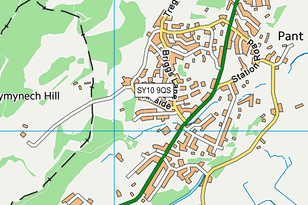 SY10 9QS map - OS VectorMap District (Ordnance Survey)