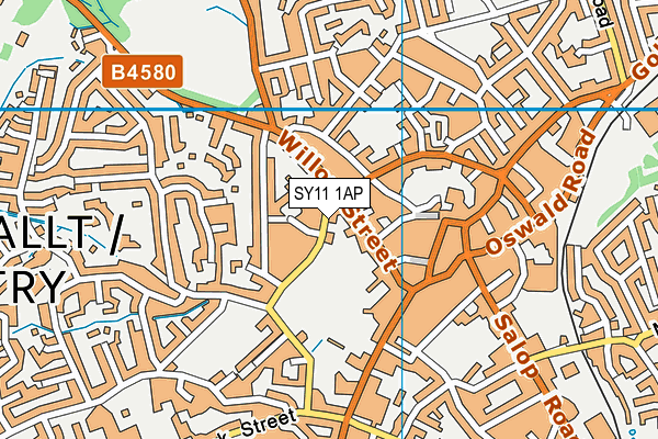 SY11 1AP map - OS VectorMap District (Ordnance Survey)