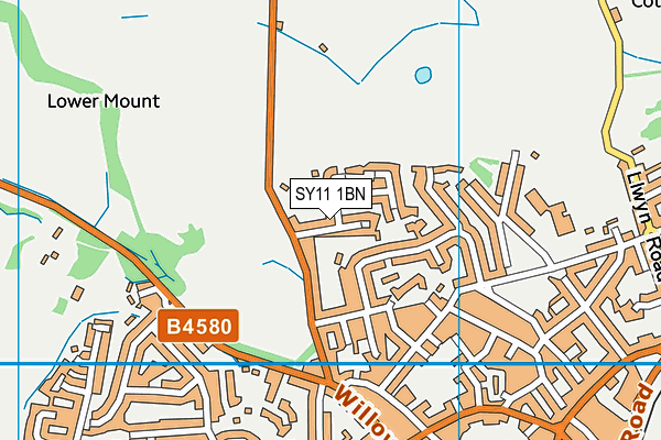 SY11 1BN map - OS VectorMap District (Ordnance Survey)