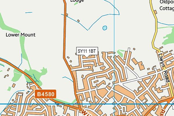 SY11 1BT map - OS VectorMap District (Ordnance Survey)