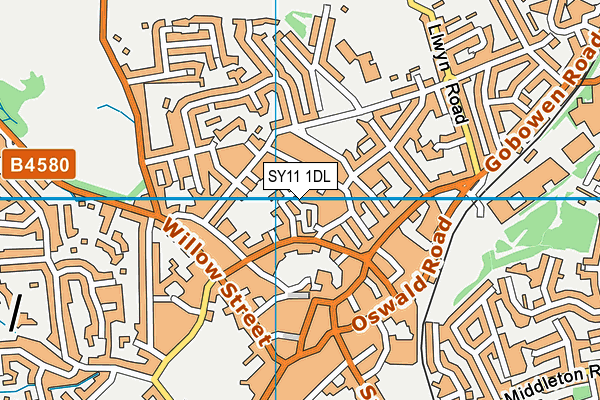 SY11 1DL map - OS VectorMap District (Ordnance Survey)