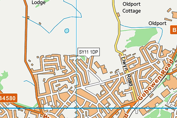 SY11 1DP map - OS VectorMap District (Ordnance Survey)