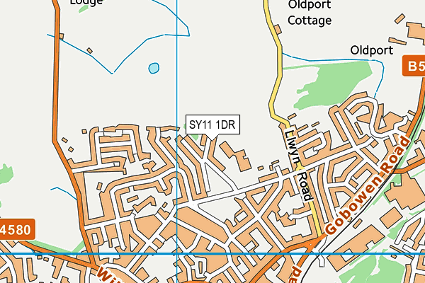 SY11 1DR map - OS VectorMap District (Ordnance Survey)