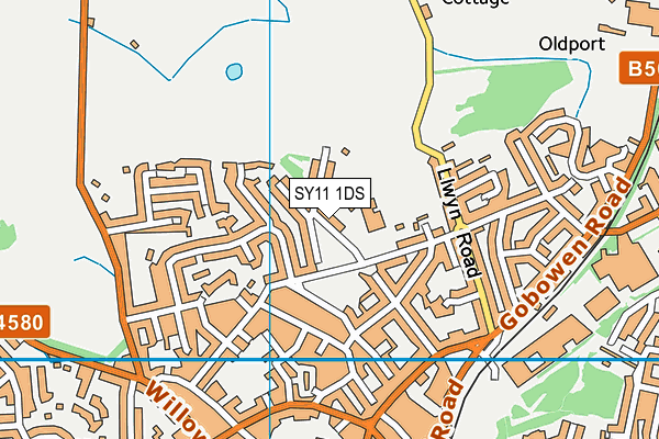 SY11 1DS map - OS VectorMap District (Ordnance Survey)