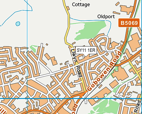 SY11 1ER map - OS VectorMap District (Ordnance Survey)