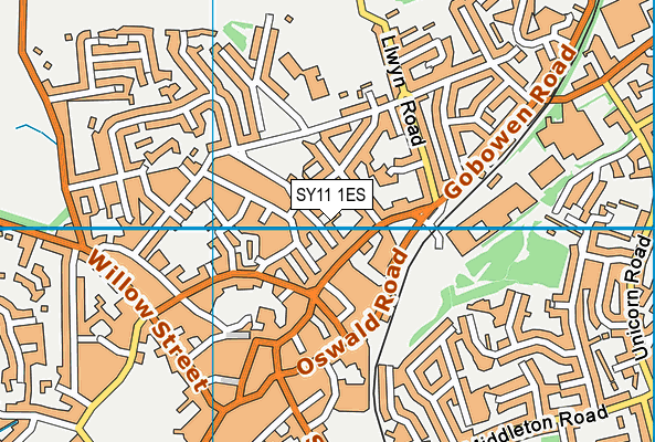 SY11 1ES map - OS VectorMap District (Ordnance Survey)