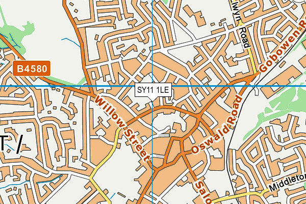 SY11 1LE map - OS VectorMap District (Ordnance Survey)