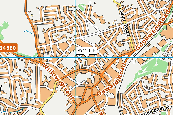 SY11 1LP map - OS VectorMap District (Ordnance Survey)