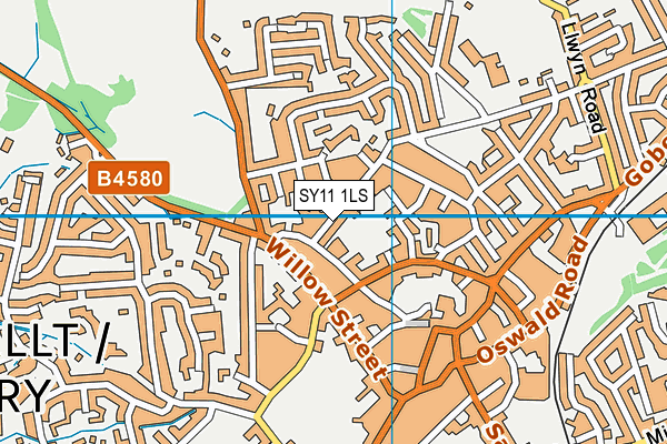 SY11 1LS map - OS VectorMap District (Ordnance Survey)
