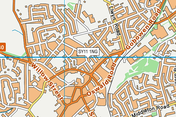 SY11 1NG map - OS VectorMap District (Ordnance Survey)