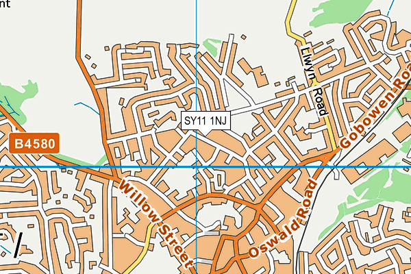 SY11 1NJ map - OS VectorMap District (Ordnance Survey)