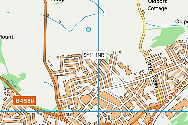 SY11 1NR map - OS VectorMap District (Ordnance Survey)