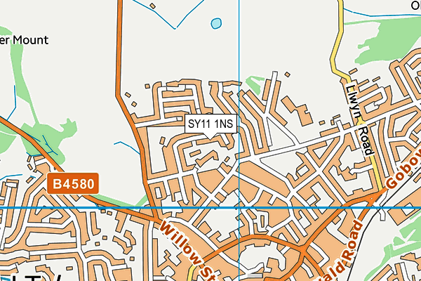 SY11 1NS map - OS VectorMap District (Ordnance Survey)