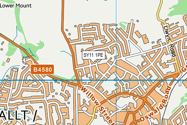 SY11 1PE map - OS VectorMap District (Ordnance Survey)