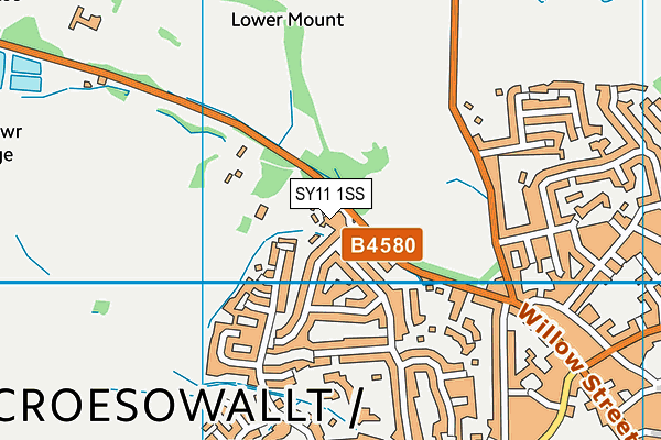 SY11 1SS map - OS VectorMap District (Ordnance Survey)