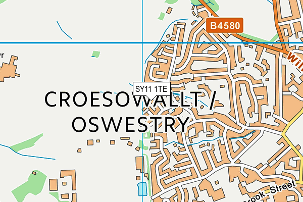 SY11 1TE map - OS VectorMap District (Ordnance Survey)