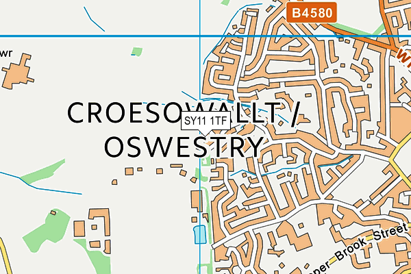 SY11 1TF map - OS VectorMap District (Ordnance Survey)