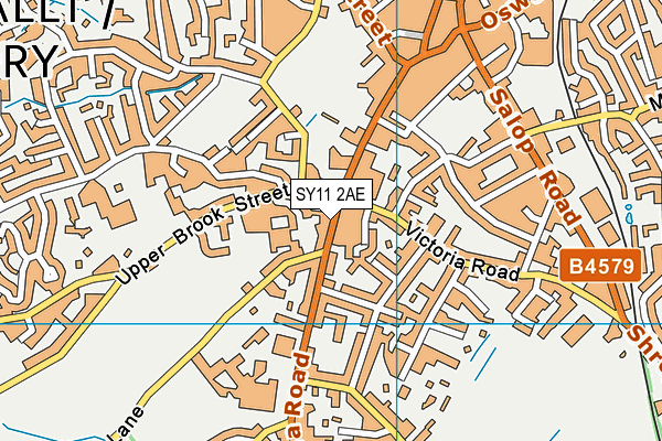 SY11 2AE map - OS VectorMap District (Ordnance Survey)