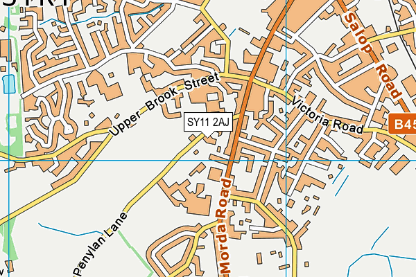 SY11 2AJ map - OS VectorMap District (Ordnance Survey)