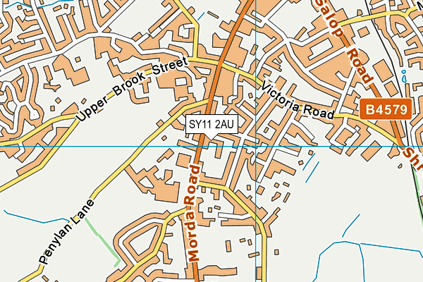 SY11 2AU map - OS VectorMap District (Ordnance Survey)